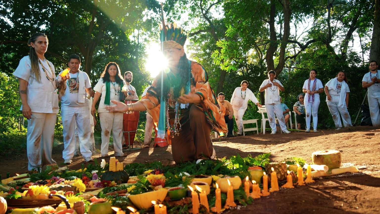 Pantanal Negro and Anta – The Film reinforce the Pantanal as a land of biodiversity, memory and identity