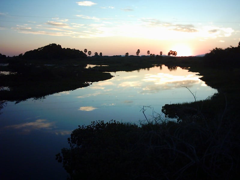 Mato Grosso do Sul