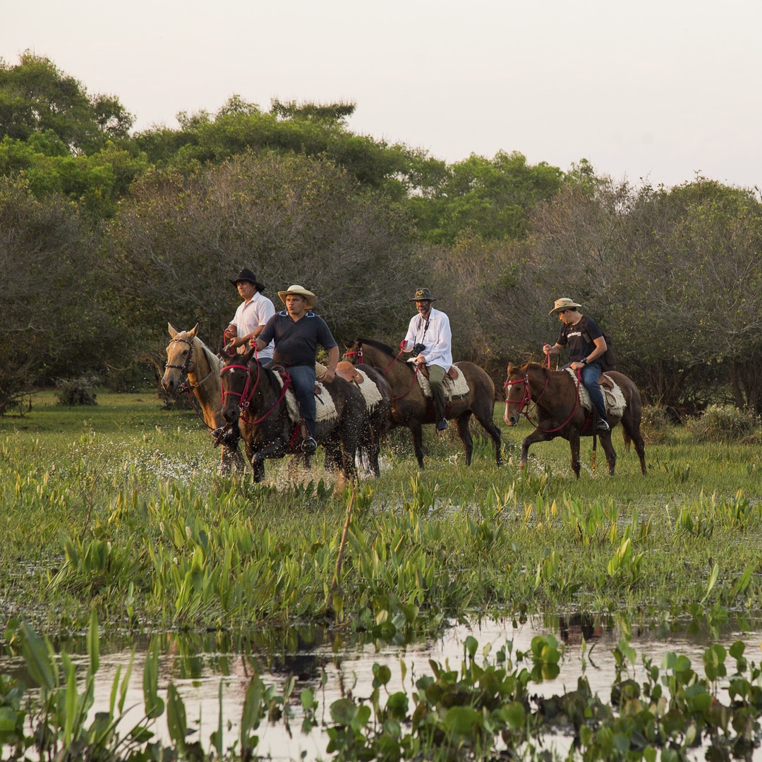 Mato-Grosso-do-Sul-Pantanal-Cavalgada.jpg