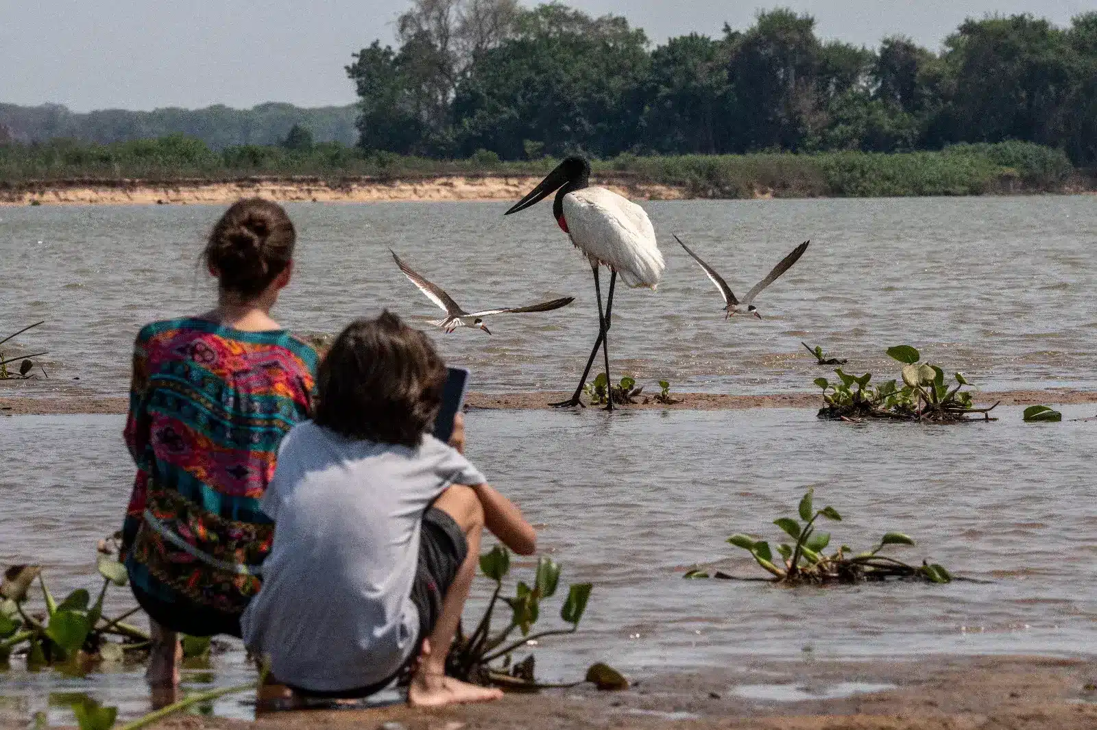 NPC-North-Pantanal-Cruise-Fred-Crema-8-copiar.webp
